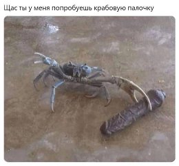 Crab Dildo