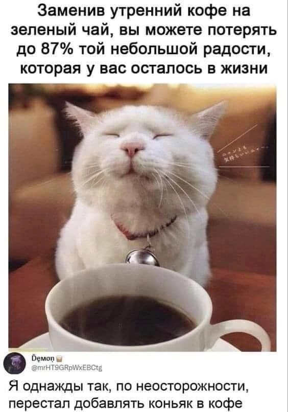 ***Victoria Viktorovna*** - 26  2023  04:23