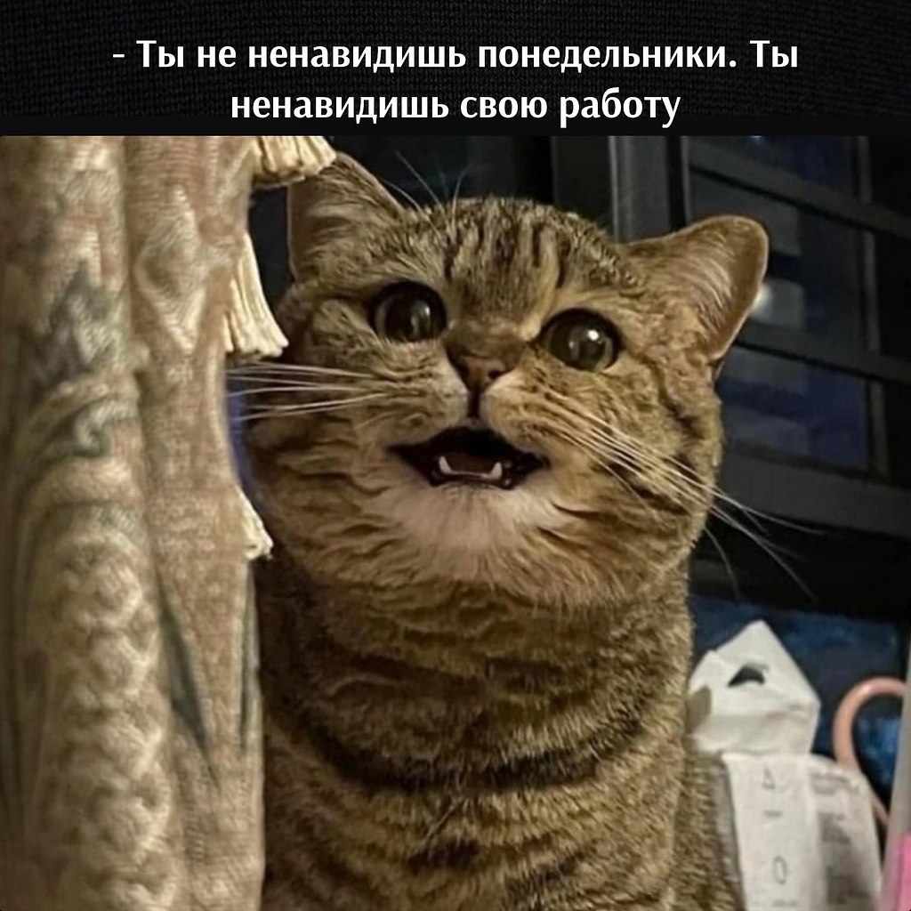       - 11  2023  12:35 - 3