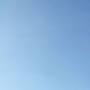 ������, 39 ���, ����