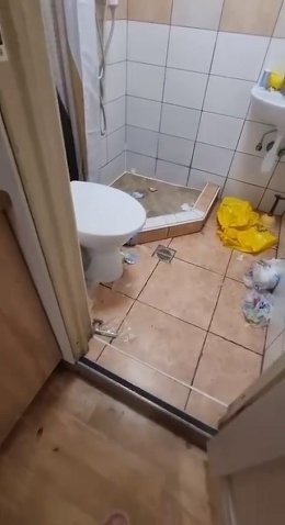 �����������