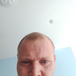 , 41 , 
