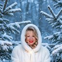 ���� �������, ���������� - ��������� 17 ������ 2026 � ������ ���� ����������