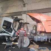 ����, 43 ����, ���������