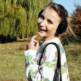 ����������, ������, 24 ����