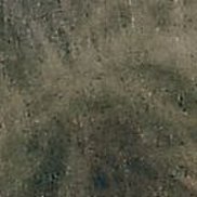 �������, 44 ����, ������