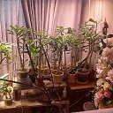 ���� ������, ������ - ��������� 14 ������� 2025 � ������ ���� ����������