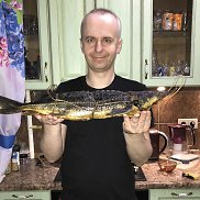 , 46 , 