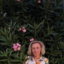 ���� ˸��, ������������� - ��������� 26 ���� 2025 � ������ ���� ����������