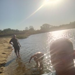 , 32,  