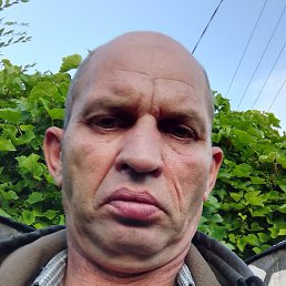 ������, ���������, 35 ���