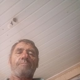 , 64, 
