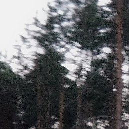 �����, ������������, 38 ���