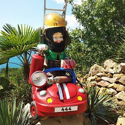 Not, ���������, 75 ���