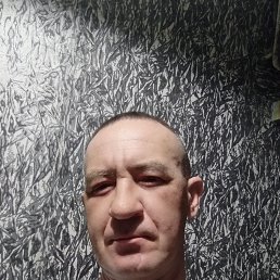 , 41, 