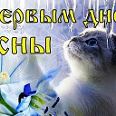 ���� ����, �������, 56 ��� - ��������� 1 ����� 2024 � ������ ���� ����������