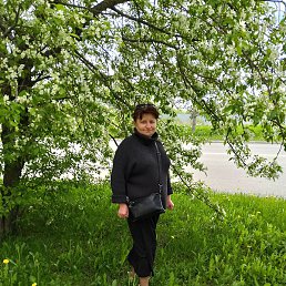 ����, ������������, 49 ���