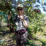 , 63 , 
