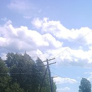 ����, 49 ���, ������