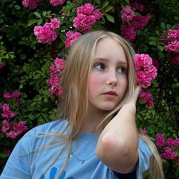 , 17, 