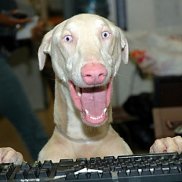 ���������, 48 ���, ����