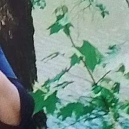 �������, ������, 65 ���