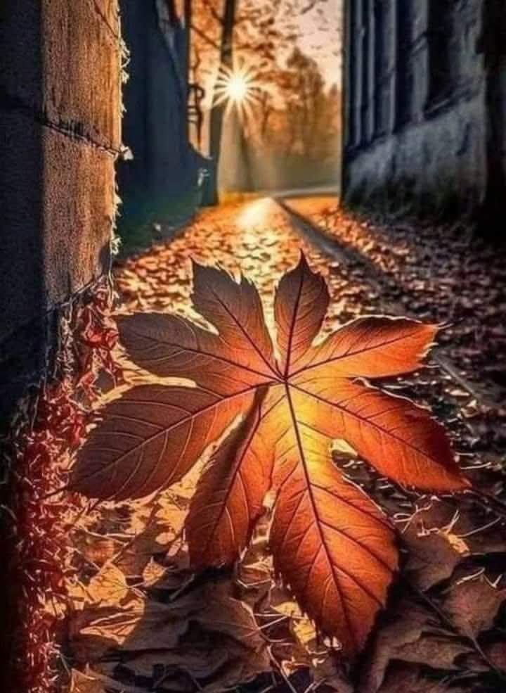 ...   , ,    - :       ...