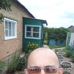 ����, 46 ���, �����������