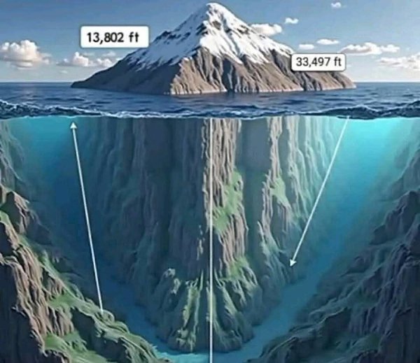            ,    8848,86 . ... - 2