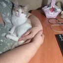 ���� �������, ����� - ��������� 26 ������ 2025 � ������ ������ ��������