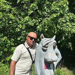 ����, �������, 53 ����