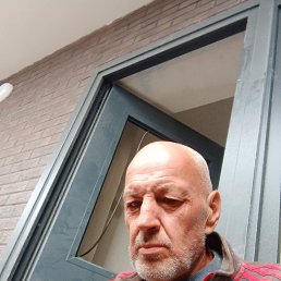 ����, 61 ���, ����