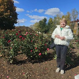 �������, �������, 68 ���