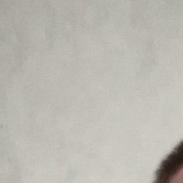 ������, ����������, 55 ���