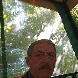 ������, 62 ����, ��������