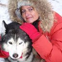 ���� �������, �������, 71 ��� - ��������� 2 ������� 2026