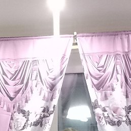 �����, 48 ���, �������