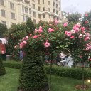 ���� ����, ������, 51 ��� - ��������� 12 ���� 2025 � ������ ���� ����������