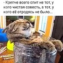 ���� �����, ������ ����� - ��������� 7 ����� 2026 � ������ ������ ��������