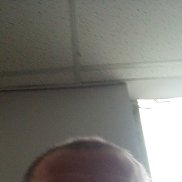 , 51 , 
