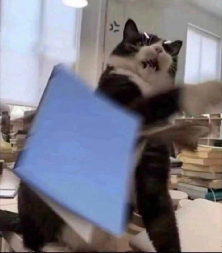      ,   - 4