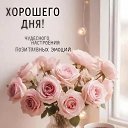 ���� ������� � ����������, �����, 59 ��� - ��������� 17 ����� 2026 � ������ ���� ����������