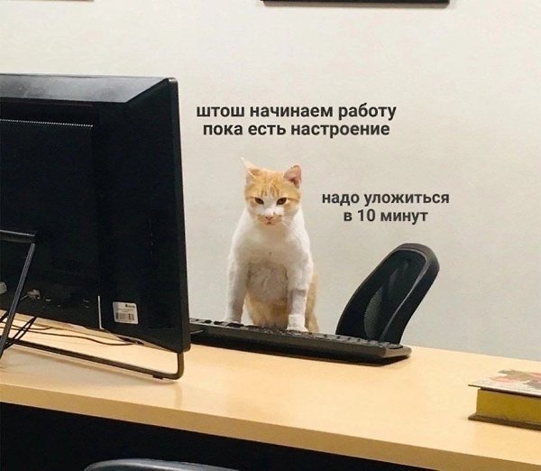      ,   - 8