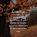 ���� ����, ���������, 49 ��� - ��������� 14 ������� 2026