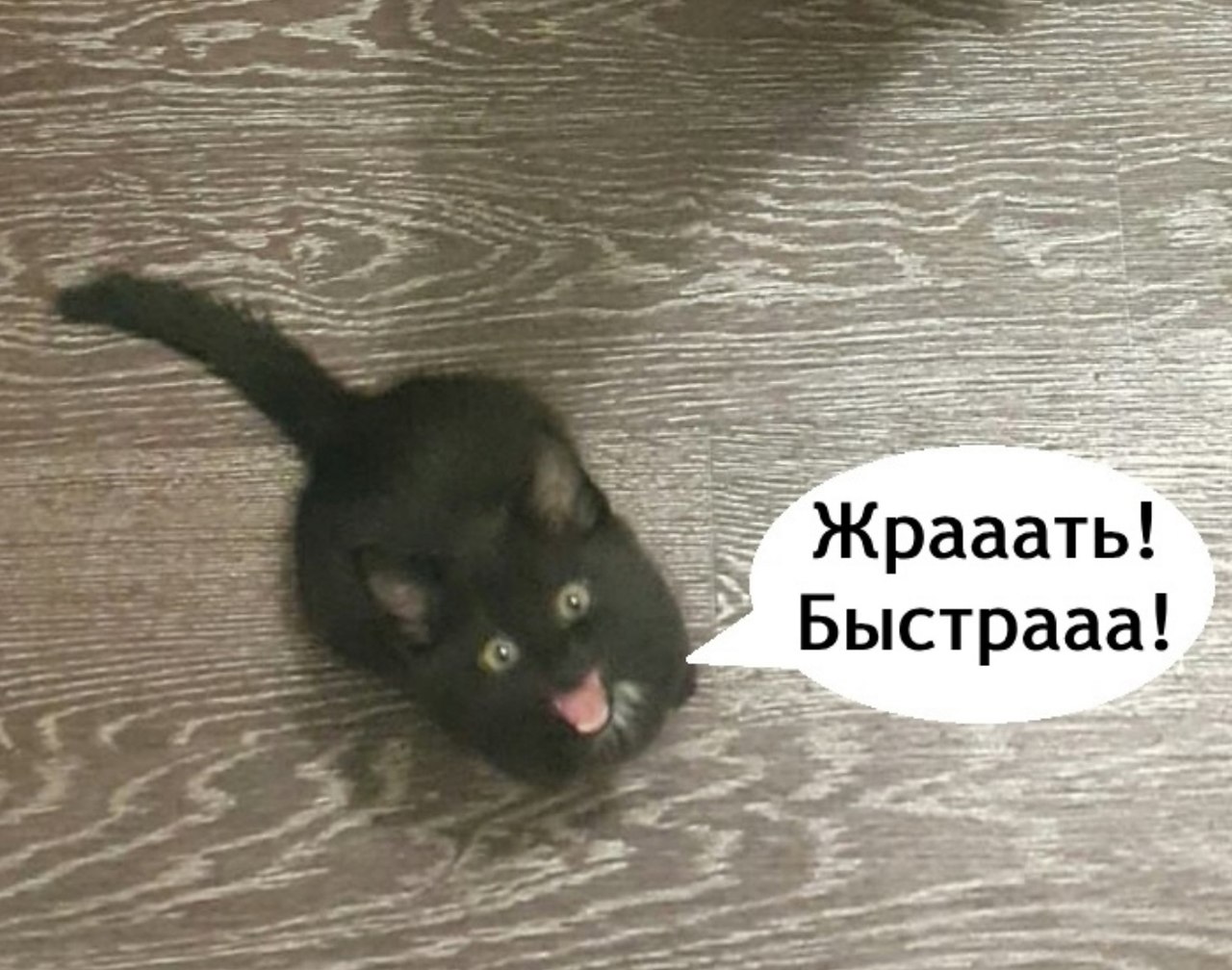    - 5