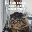 ���� ���������, ����� - ��������� 9 �������� 2024 � ������ ���� ����������