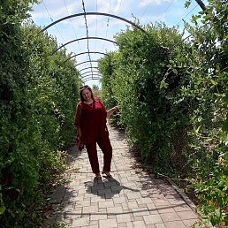 �������, ��������, 54 ����