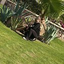 ���� �����, ������-���, 52 ���� - ��������� 5 ������ 2025 � ������ ���� ����������