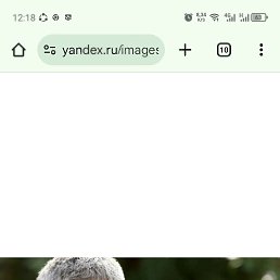 , 43, 