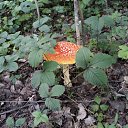 ���� ������, ����������� - ��������� 21 ������� 2024 � ������ ����� 2024�
